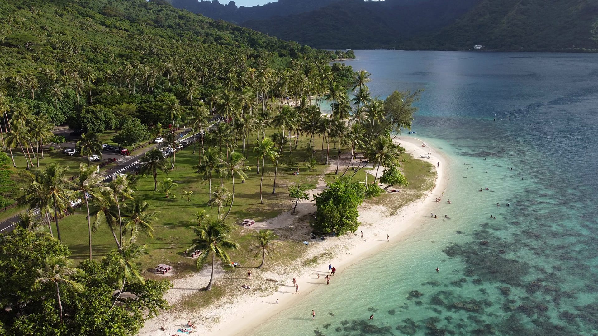 Underrated Paradise – Mo’orea!